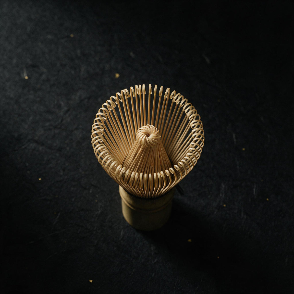 Takayama bamboo matcha whisk on black washi, the fine split-bamboo prongs lit from the side