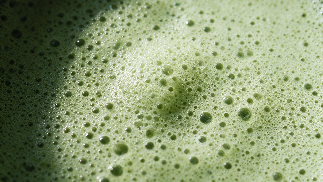 Close view of a bowl of thin matcha whisked to a fine pale green foam covering the surface