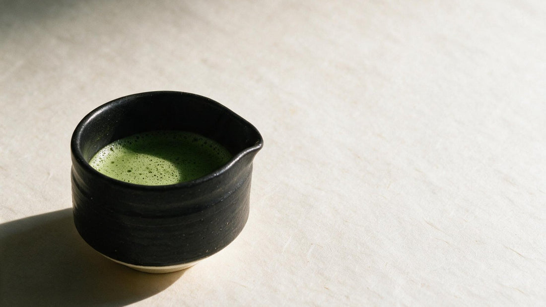 A black spouted tea bowl of whisked matcha on pale paper, lit by a low slant of sunlight