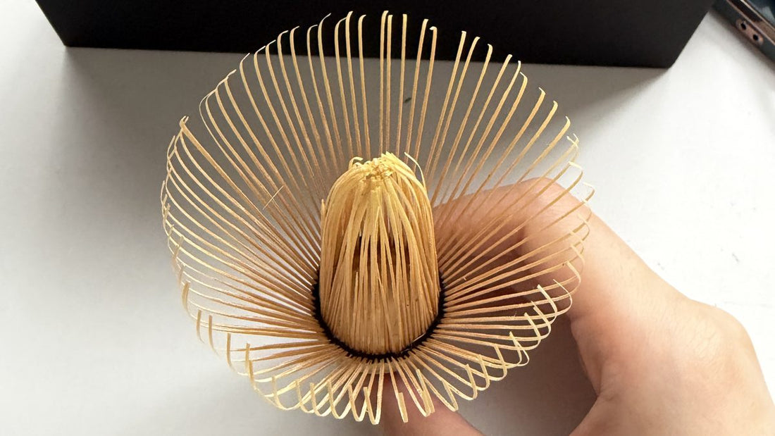 A bamboo matcha whisk seen from below, its hundred fine tines curving out around the inner ring, held in a hand