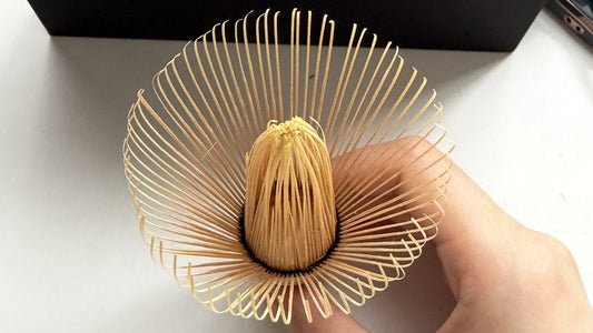 A bamboo matcha whisk seen from below, its hundred fine tines curving out around the inner ring, held in a hand